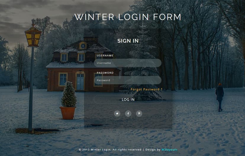 Winter Login Form